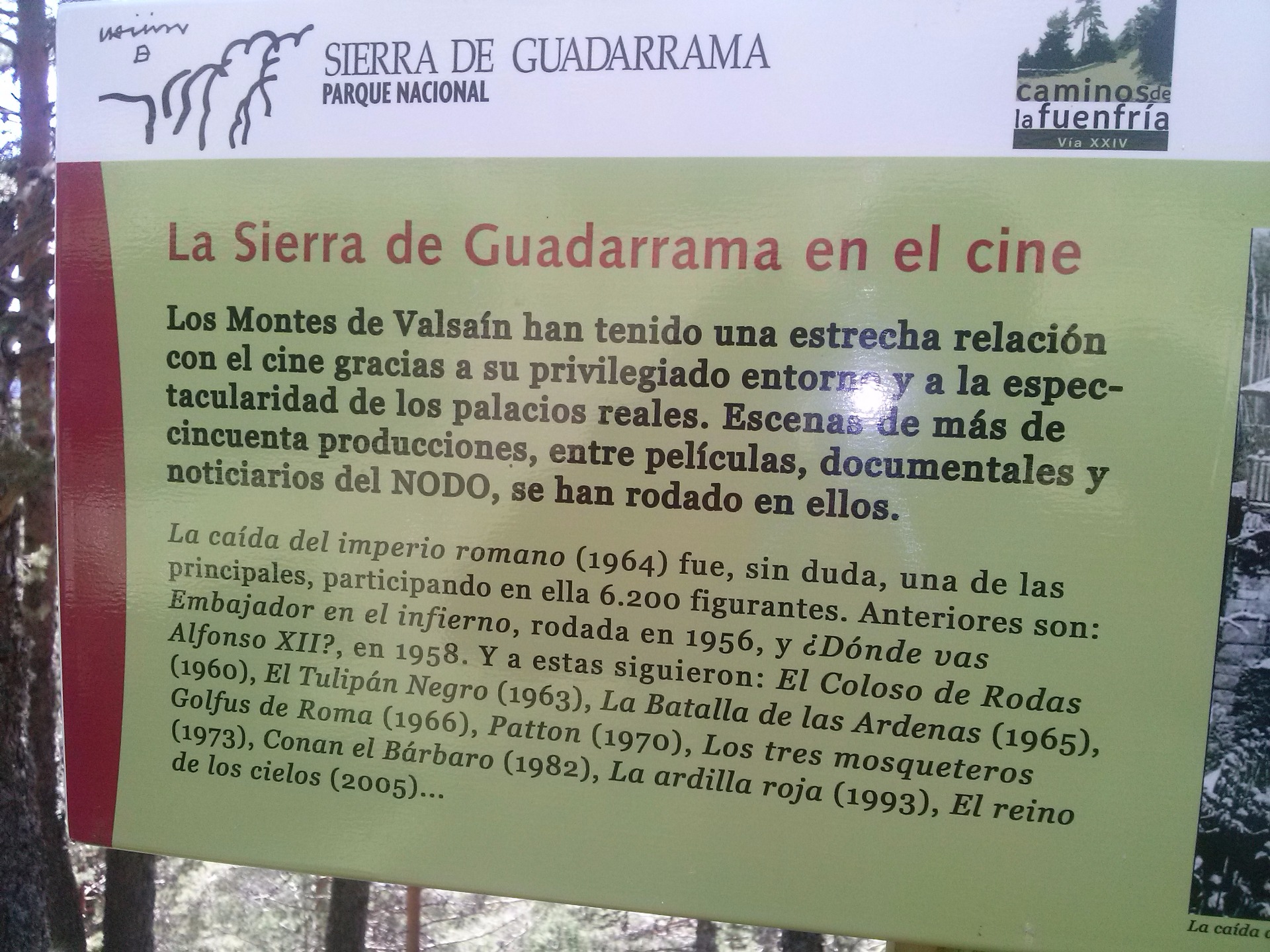 El Cine